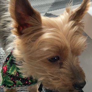 Meet your Posher, Alexia